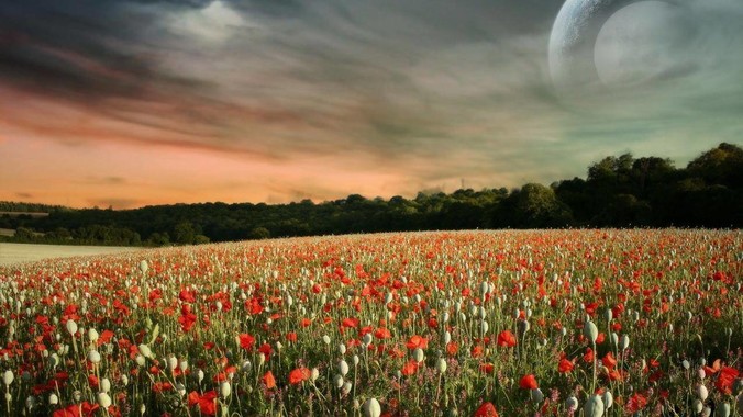 你手机中最舍不得卸载的APP是什么？